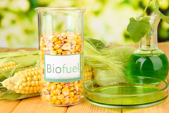Bridgetown biofuel availability